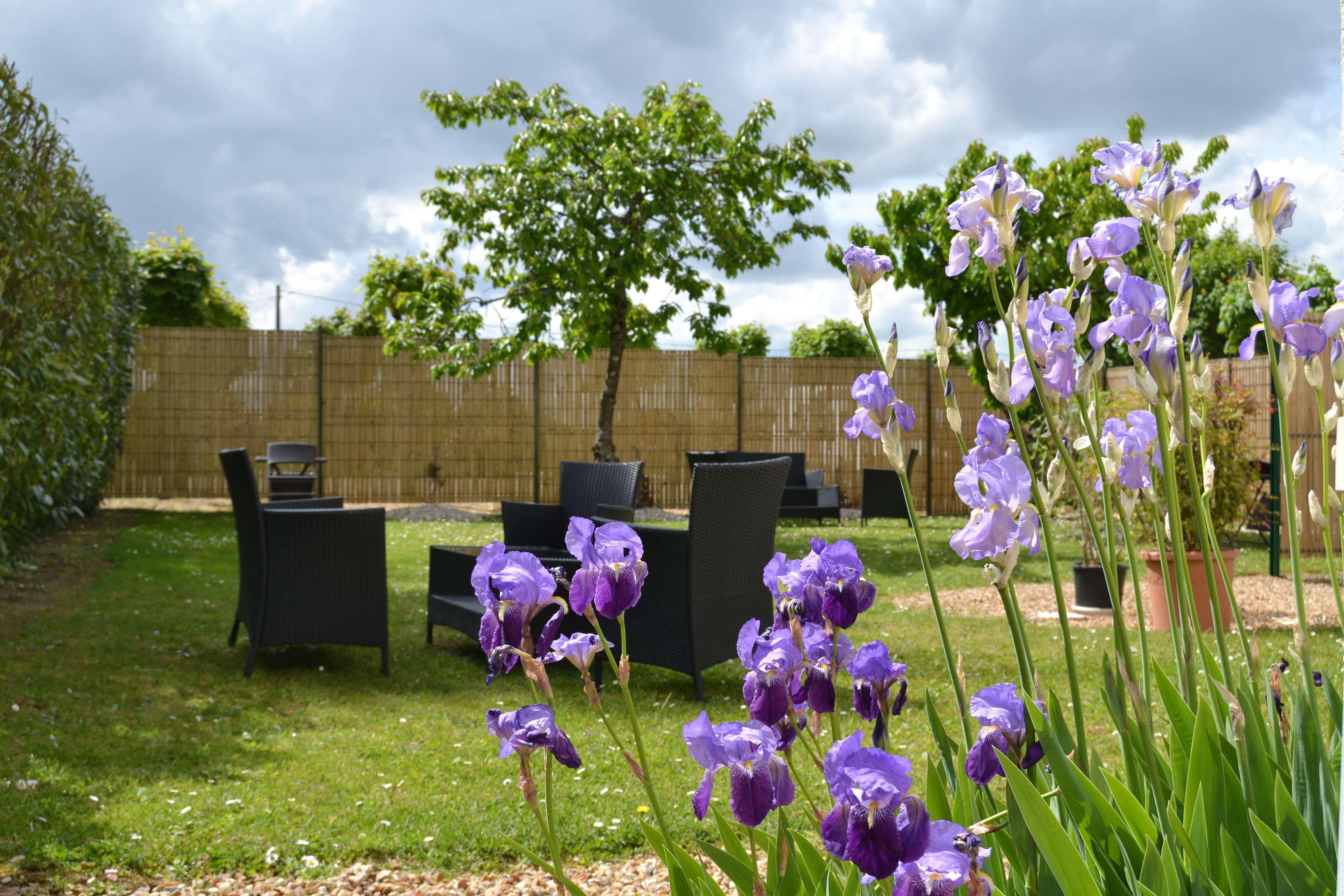 Best Western Le Vinci Loire Valley Amboise Kültér fotó